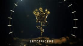 eryctriceps
